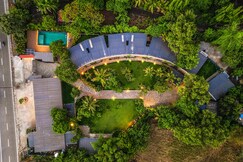 The Crescent Palm By Alaya Stays