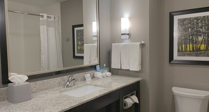 Holiday Inn Express and Suites Madison Central Room Type - 1 King Standard
