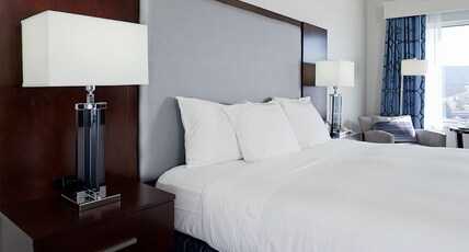 Hilton Scranton & Conference Center Room Type - 1KG STE MOB HEA ACC RI-SHW