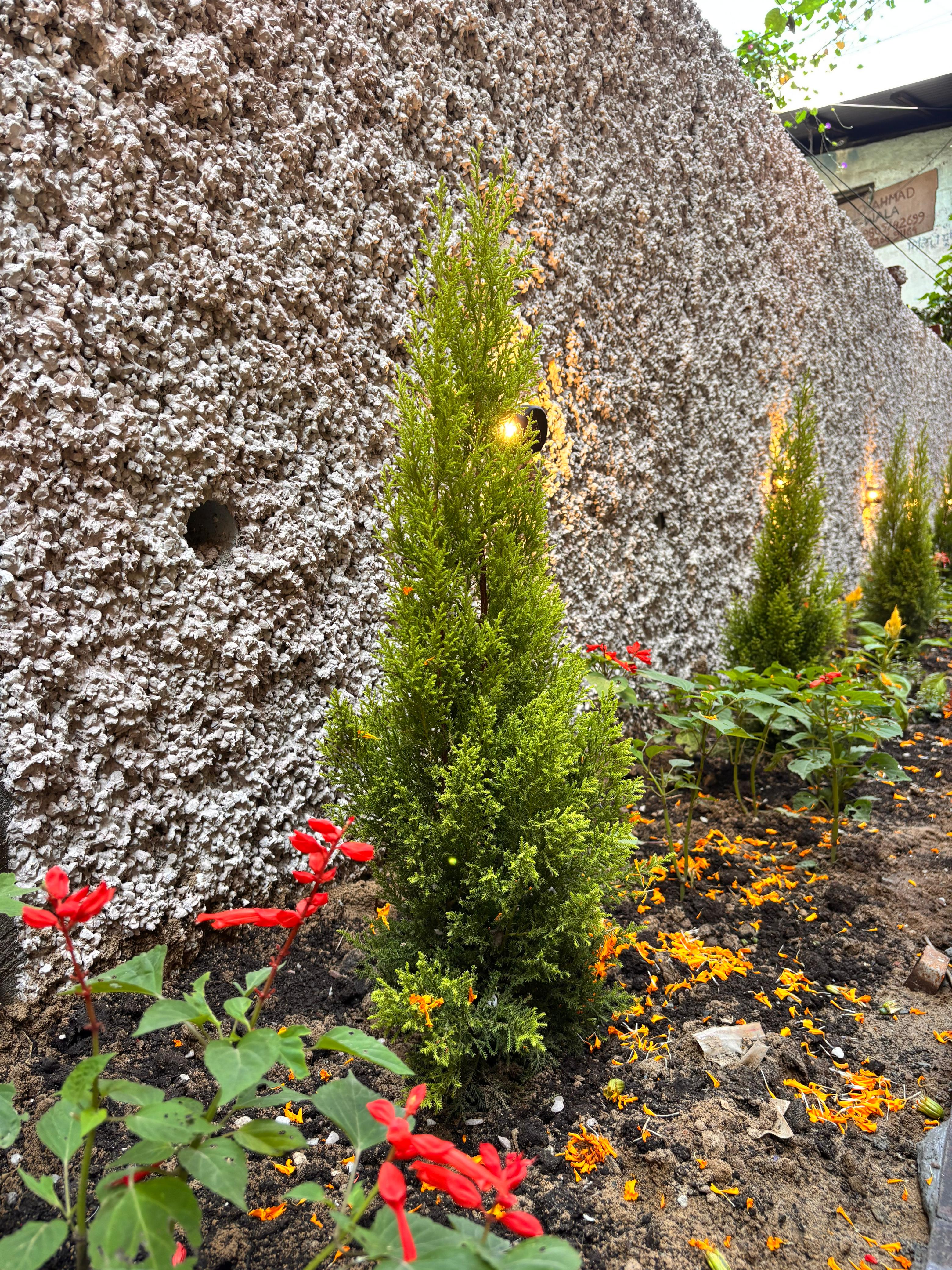 Hotel Paradise - Tap to explore photos