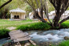Royal Deluxe Camp | Tents & Cottages