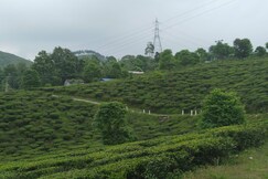AAYUSHMAN HOMESTAY