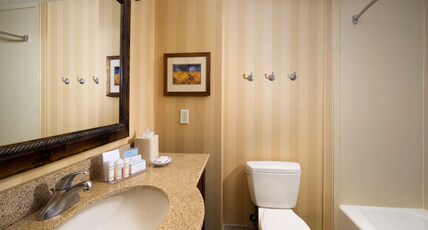 Hampton Inn & Suites San Antonio Airport Room Type - 1RMSUITE KING NON-SMOKING