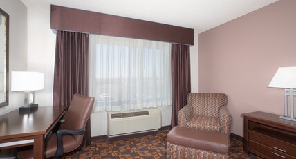Holiday Inn Express & Suites YANKTON Room Type - 1 King Standard