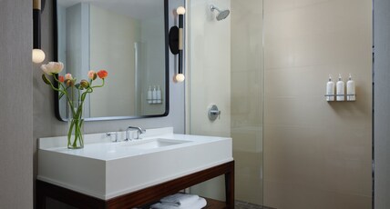 Kimpton Hotel Palomar Phoenix Cityscape Room Type - 1 King