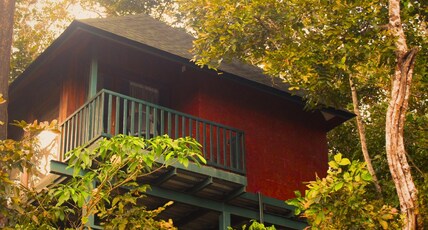 Forest Edge Resort In Mandagadde Room Type - Tree House