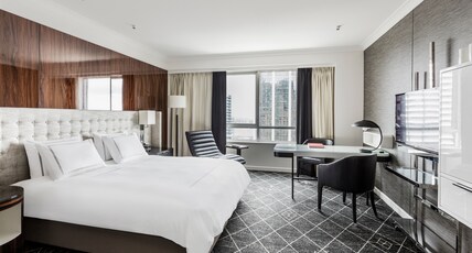 Swissotel Sydney Room Type - Premier King Room