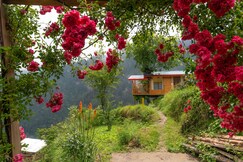 Bastiat Stays Glasshouse Cabin Jibhi