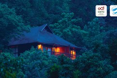 The Tamara Coorg