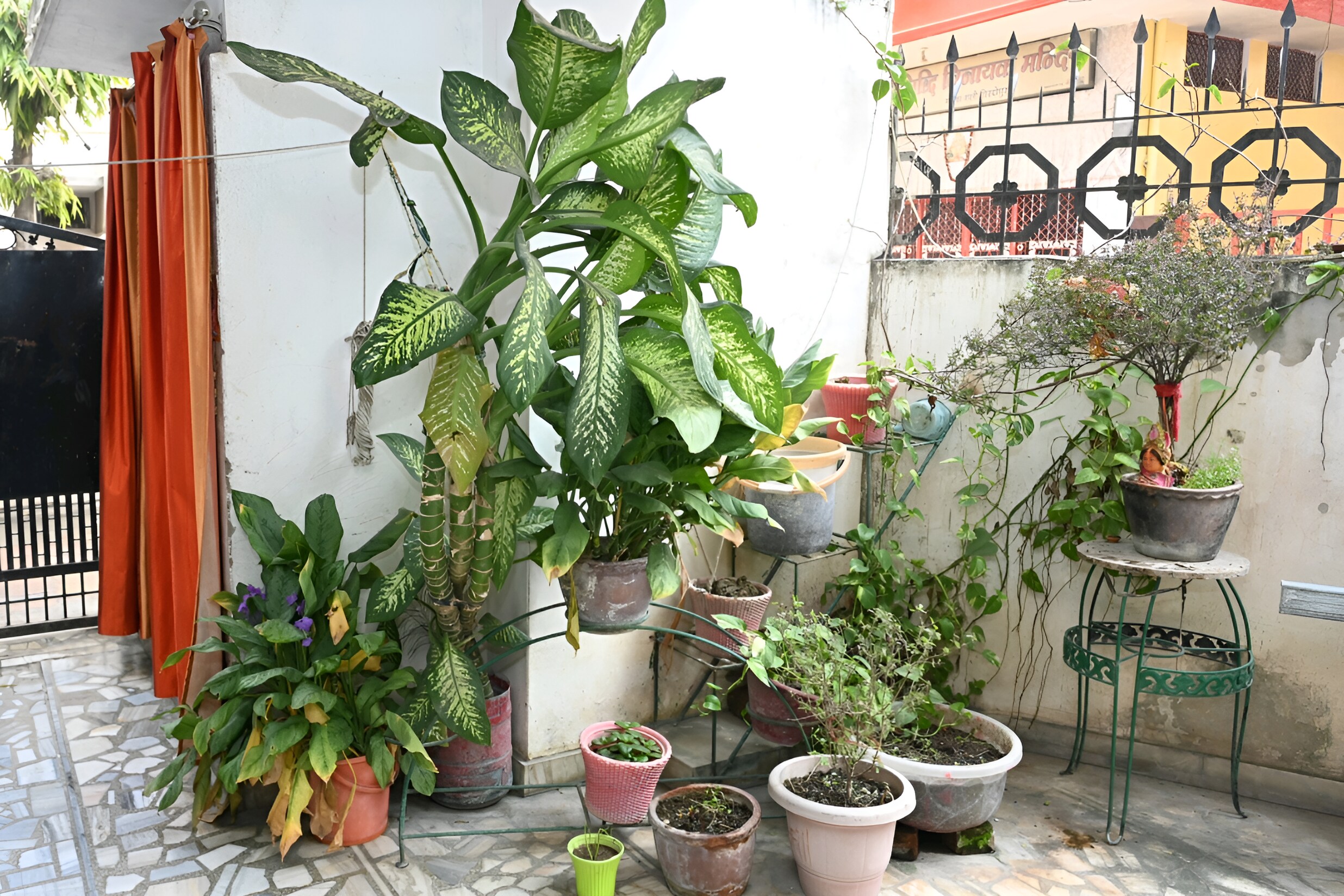 Main gallery