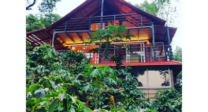 Woodpecker Estate-Wooden villa, mountain view Room Type - Woodpecker Estate-Wooden villa, mountain view