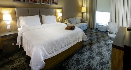 Hampton Inn by Hilton - Zacatecas, Mexico Room Type - 1 KING SFBD FRIDGE NS