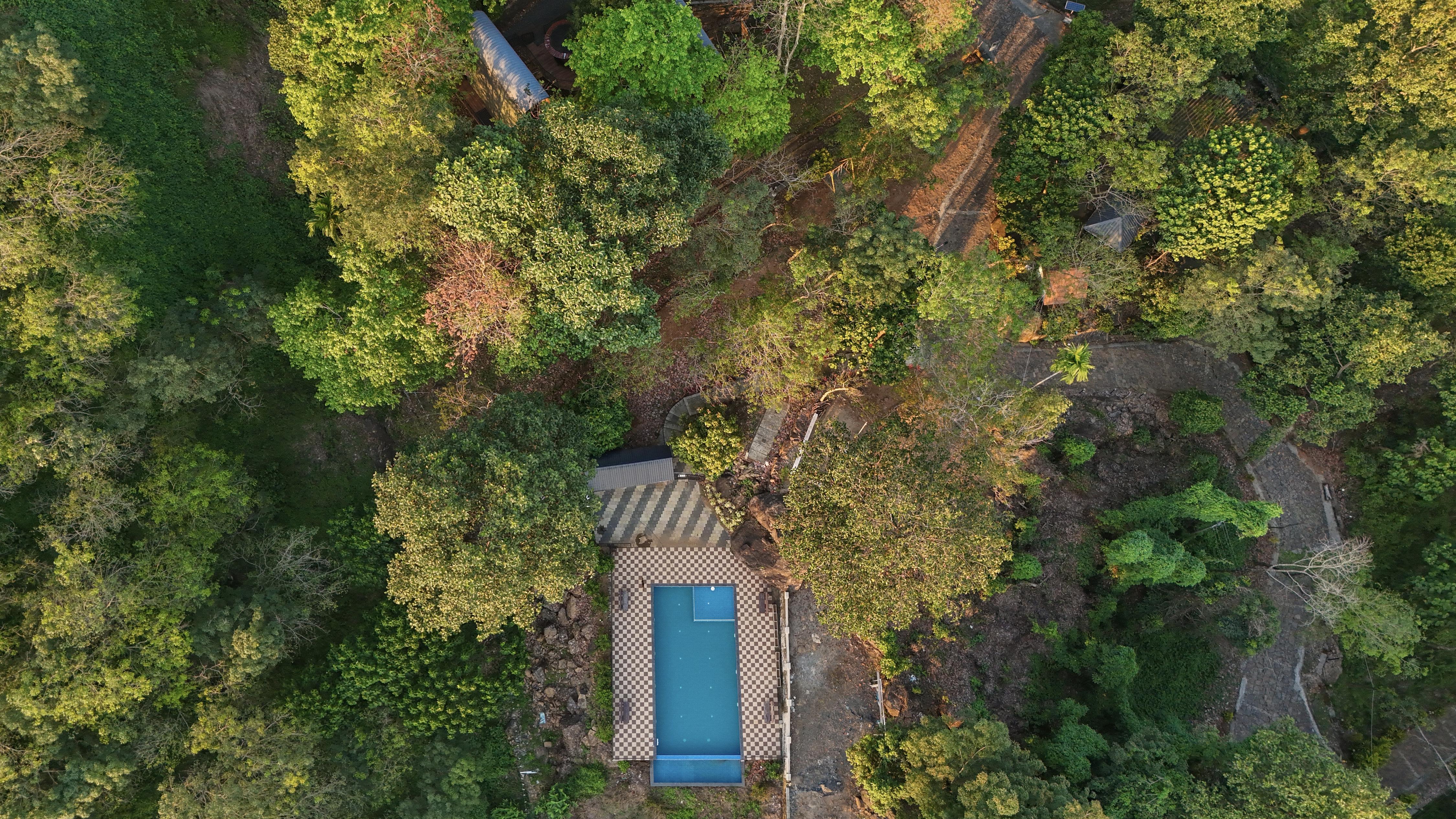 The Lost Cabins - Tap to explore photos