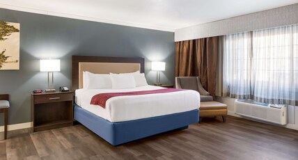 Best Western Mountain View Inn Room Type - 1 King Bed, Mobility Accessible, Communication Assistance, Roll In Shower, Non-Smoking, Full Breakfa Best Western Mountain View Inn Room Type - 1 King Bed, Mobility Accessible, Communication Assistance, Roll In Shower, Non-Smoking, Full Breakfa
