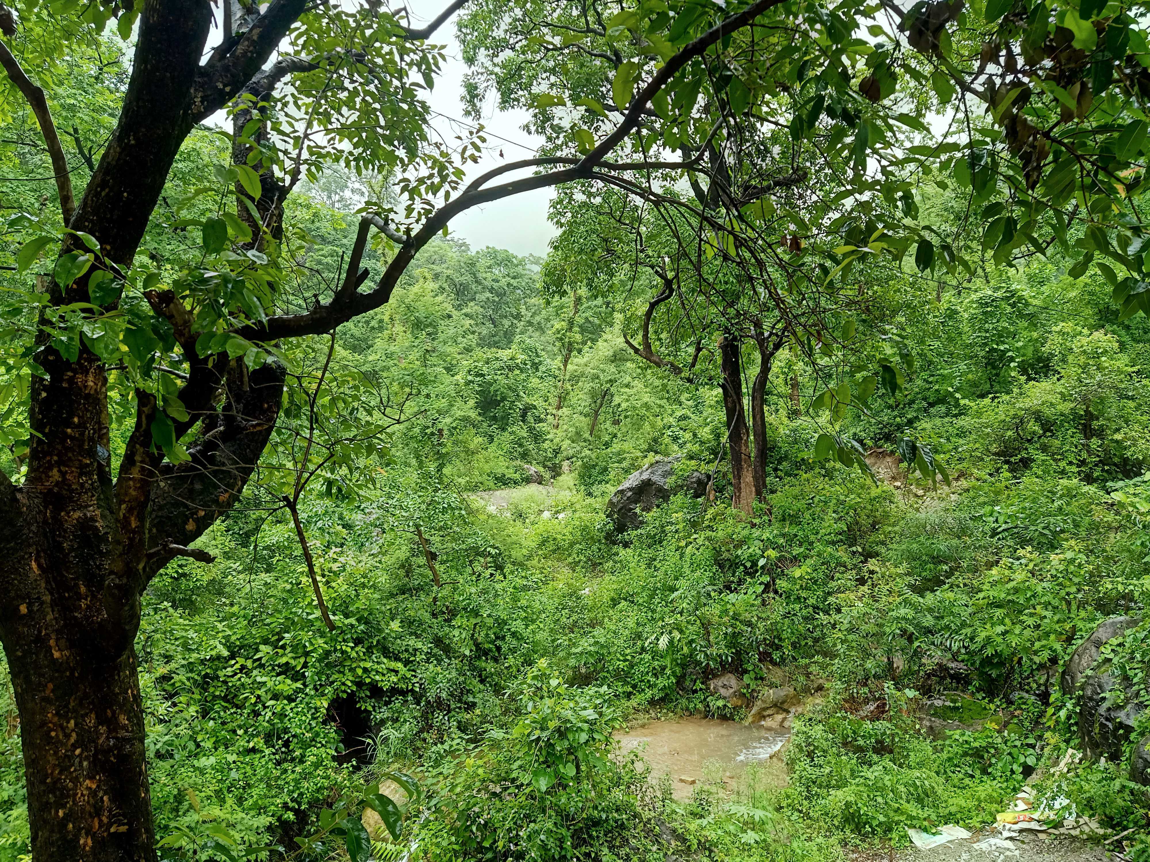 Shivanjal - Tap to explore photos