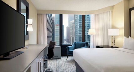 DoubleTree by Hilton Chicago - Magnificent Mile Room Type - CHICAGO CITY VIEW 1 KING