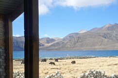 Peace Cottages Pangong