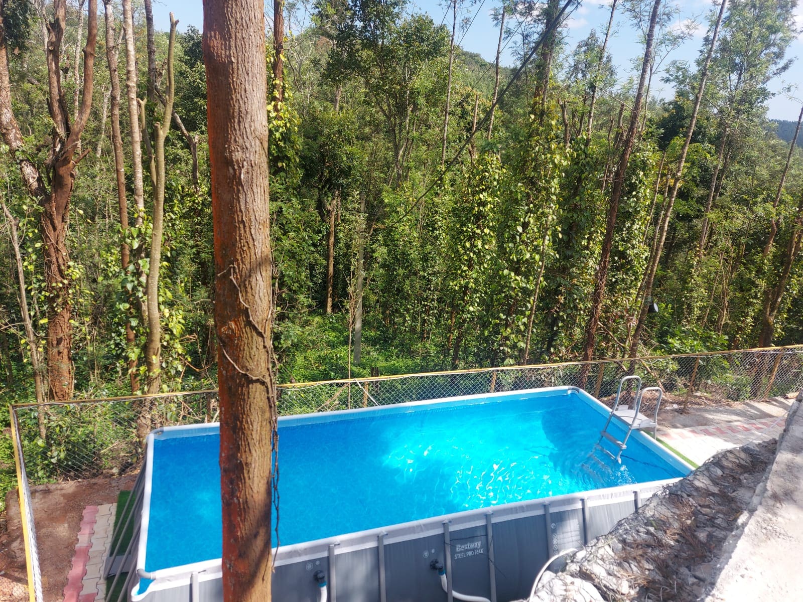 GM Farm Mountain View Homestay Chikmagalur. - Tap to explore photos