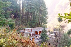 The Woods - Tirthan Valley