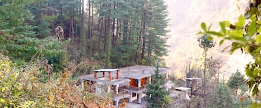 The Woods - Tirthan Valley