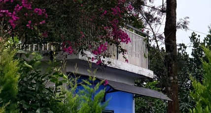 Haze Wood Resort Room Type - 3 Bedroom Villa with Balcony Haze Wood Resort Room Type - 3 Bedroom Villa with Balcony
