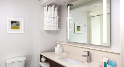 Hampton Inn & Suites by Hilton Reagan National Airport Room Type - 2 QUEEN - HIGH FLOOR