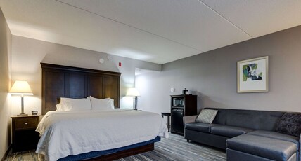Hampton Inn & Suites by Hilton Brantford Conference Centre Room Type - 1K W SOFABD-MIC FRIDG NS