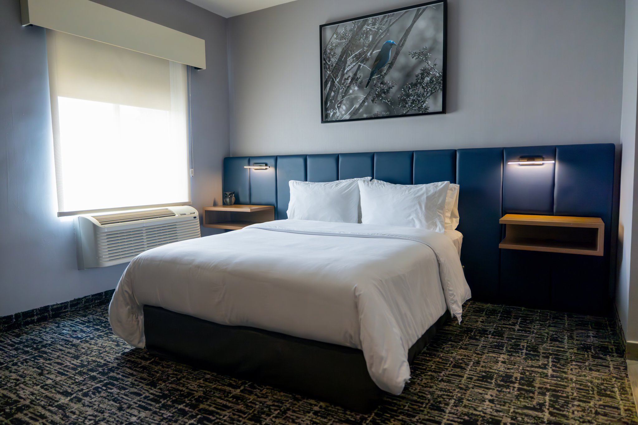 COSUITES SALTILLO HOTEL, an IHG hotel - Tap to explore photos