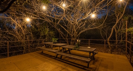 The Wilderness Retreat | Cottage & Restaurant Room Type - Bandhavgarh Cabin The Wilderness Retreat | Cottage & Restaurant Room Type - Bandhavgarh Cabin