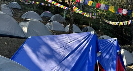 Touropedia hornbill Room Type - Alpine tent