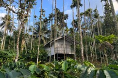 Himadri Retreat | Rooms in a Cottage