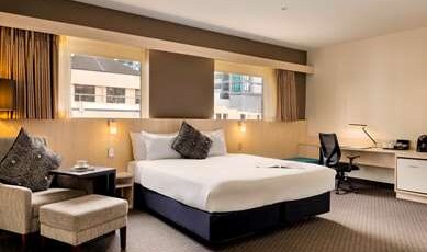 Ibis Wellington Room Type - iBusiness King Room