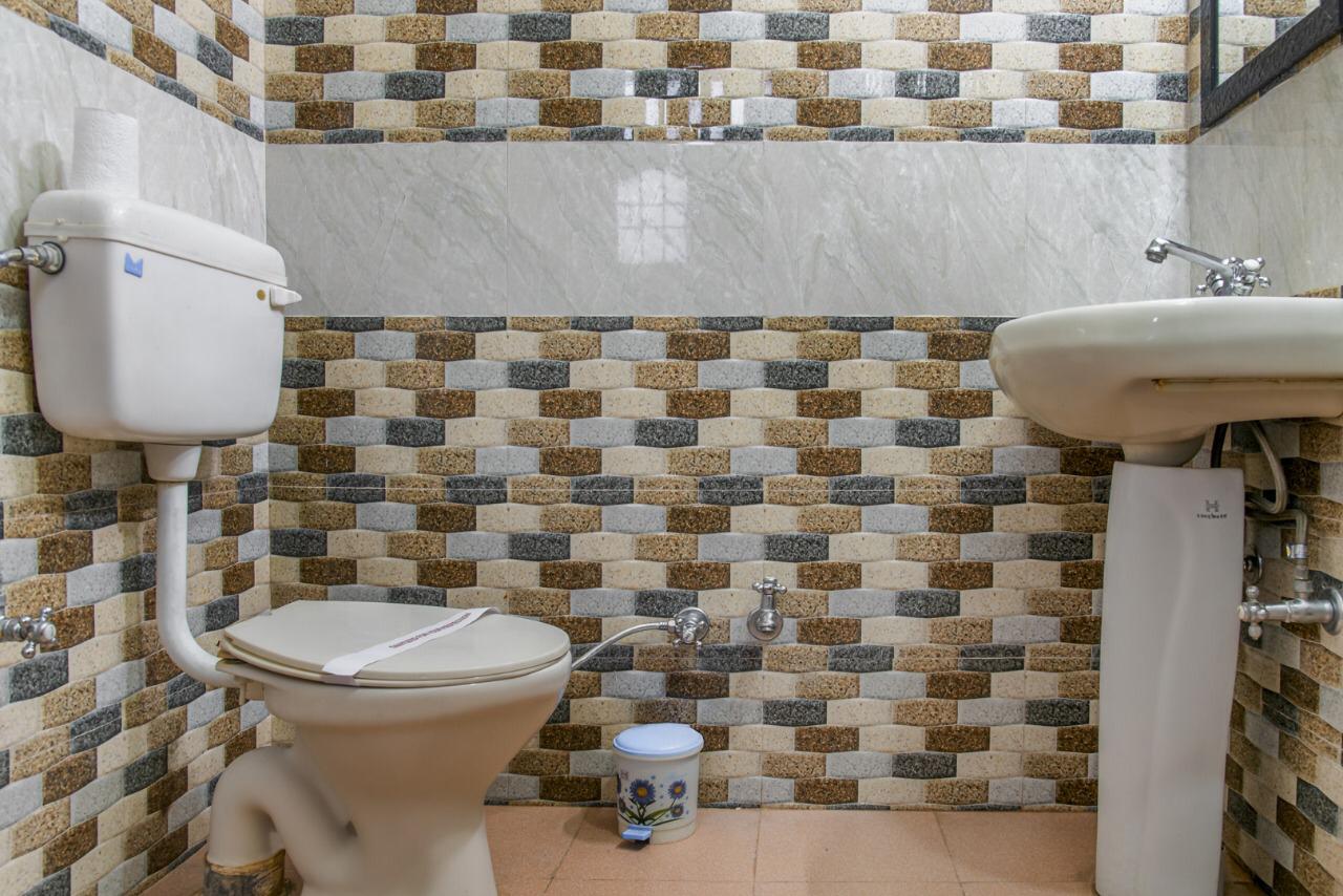 Pine Tree Shimla - Tap to explore photos