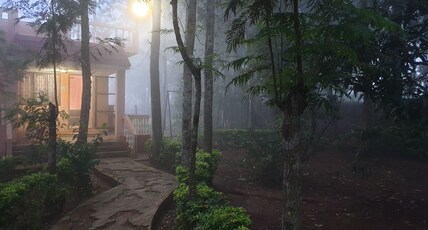 The Cabin in the Woods Room Type - The Cabin in the Woods