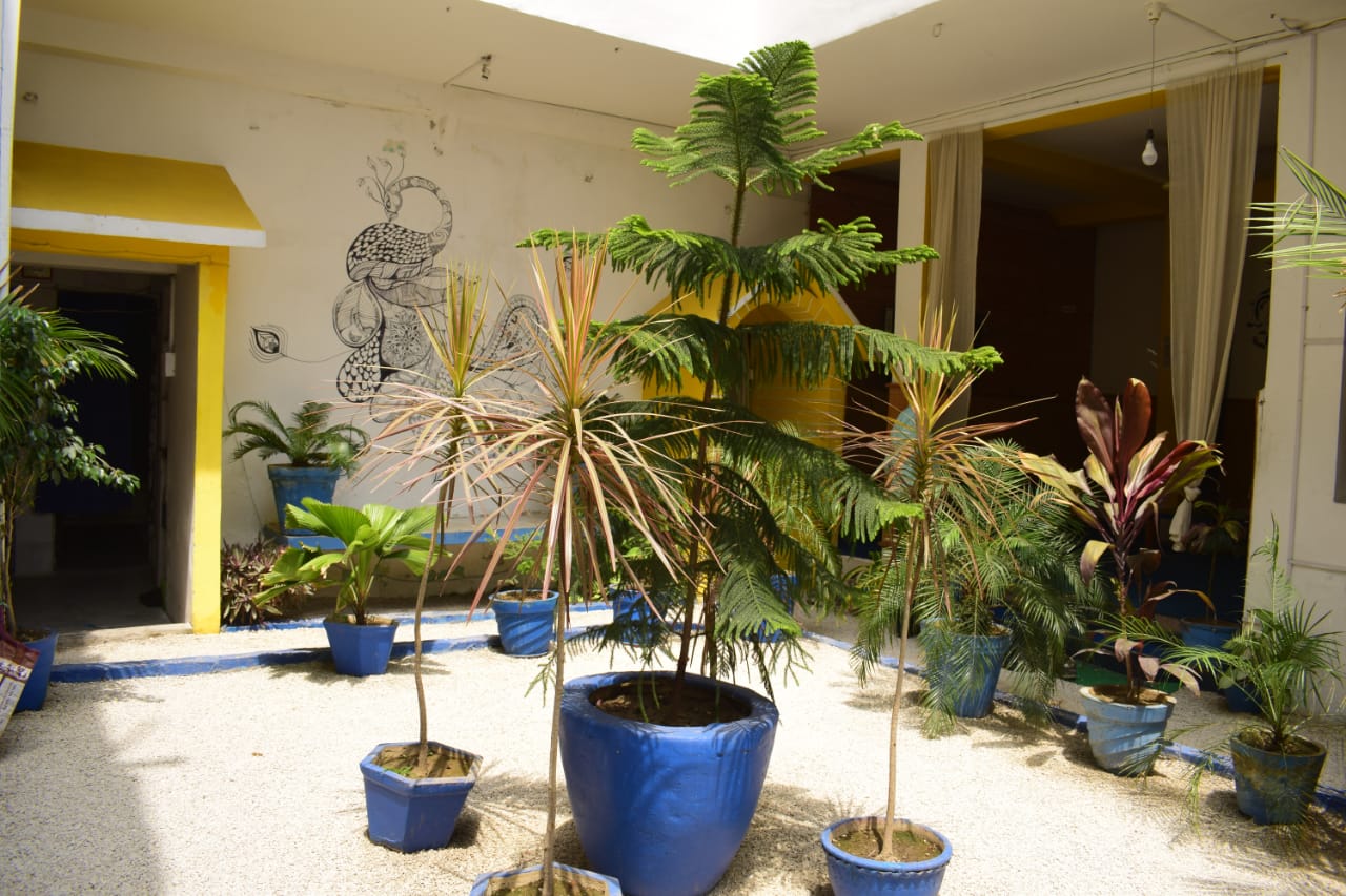 Main gallery