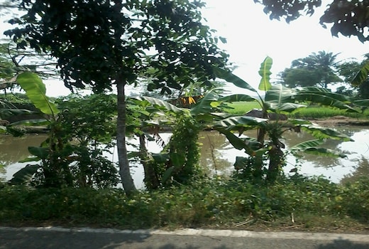 Resort Royal Bengal