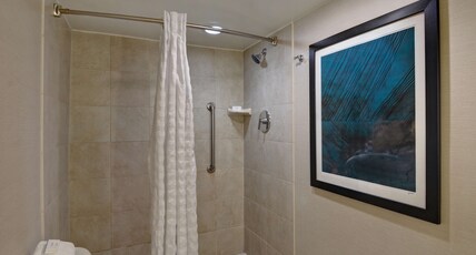 Embassy Suites Winston-Salem Room Type - 1QN STE ACC RI SHWR NO SMK