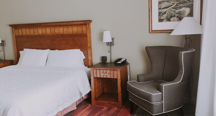 Hampton Inn & Suites by Hilton Green River Room Type - 1KNG MOB HEAR ACC W TUB NS