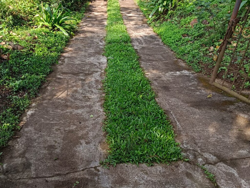 AADHIRA HOME STAY - Tap to explore photos