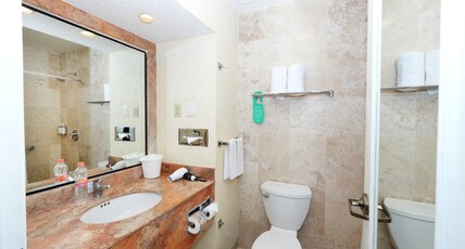 Holiday Inn QUERETARO-CENTRO HISTORICO Room Type - 1 King Premium