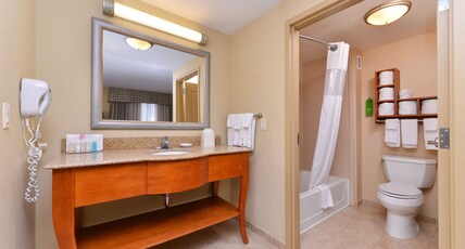 Hampton Inn by Hilton Evanston Room Type - 1 KING W SOFABED NONSMOK