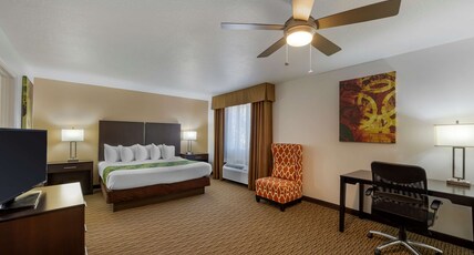 Best Western Mesquite Inn Room Type - 1 Queen Bed, Non-Smoking, High Speed Internet Access, Sofabed, Coffee Maker, Iron And Ironing Board, Best Western Mesquite Inn Room Type - 1 Queen Bed, Non-Smoking, High Speed Internet Access, Sofabed, Coffee Maker, Iron And Ironing Board,