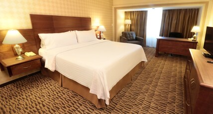 Holiday Inn MONTERREY NORTE Room Type - 1 King Premium