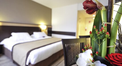 Mercure Rouen Val De Reuil Room Type - Standard Room with a double bed