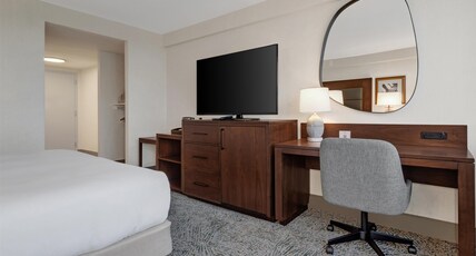 Hilton Arlington National Landing Room Type - 1KNG MOB HEARNG ACC RI-SHW