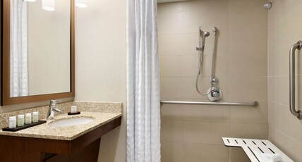 Embassy Suites Denver - Downtown/Convention Center Room Type - 1KG MOB HR ACC RI-S STE NS