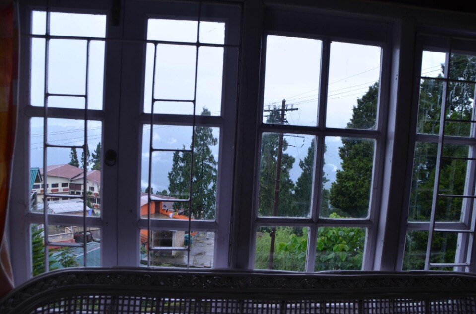 White Orchid - Tap to explore photos