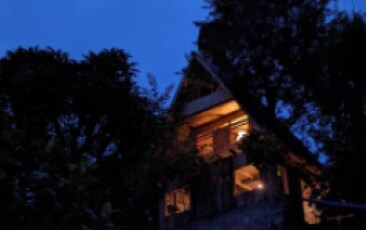 Mochileros Cherry Tree House Room Type - Mochileros Cherry Tree House