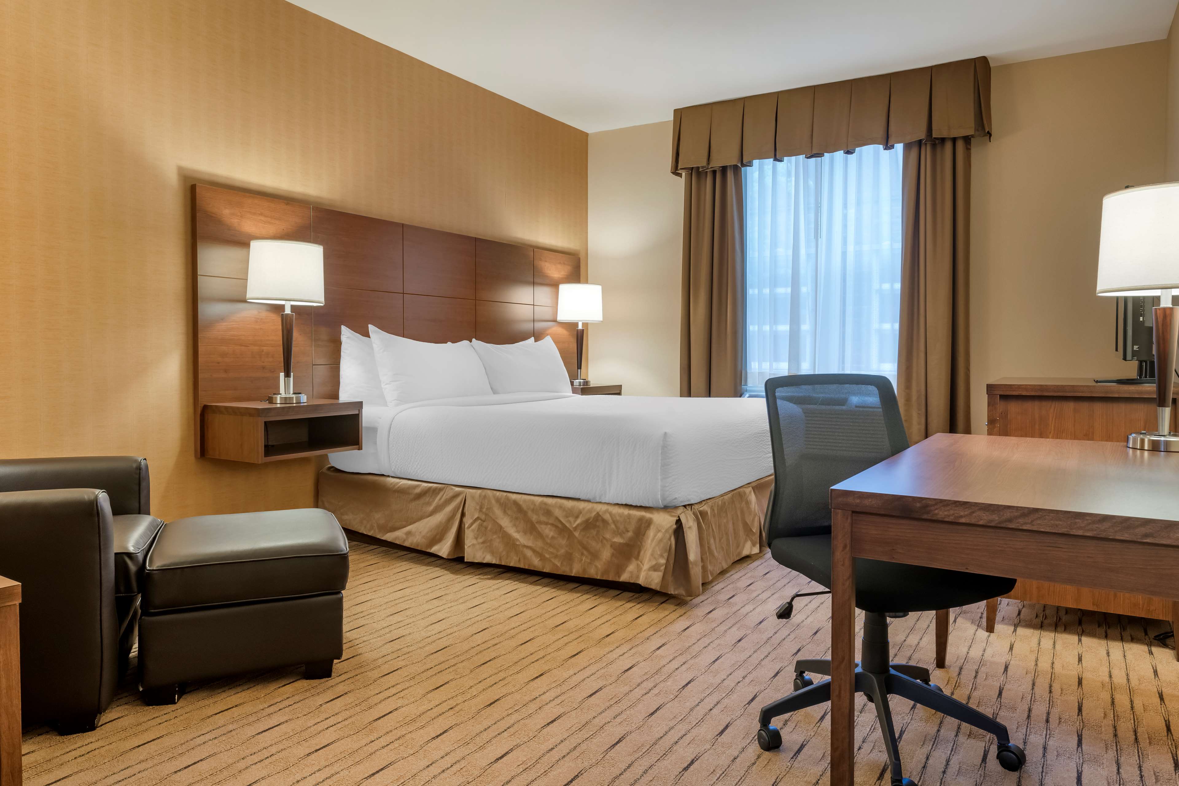 Best Western Plus Bathurst Hotel & Suites - Tap to explore photos