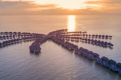 Golden Palm Tree Sepang